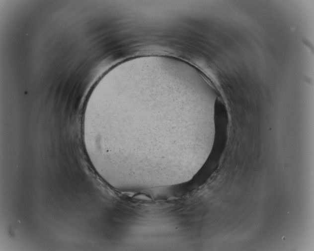 X0000091471008200709131749