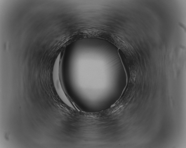 X0000091471010200709131748