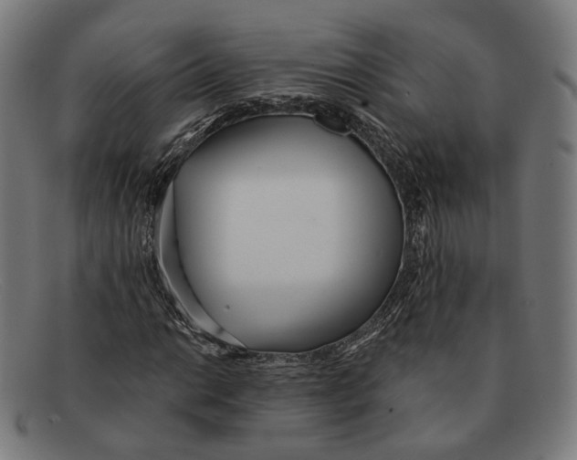 X0000091471014200709131748