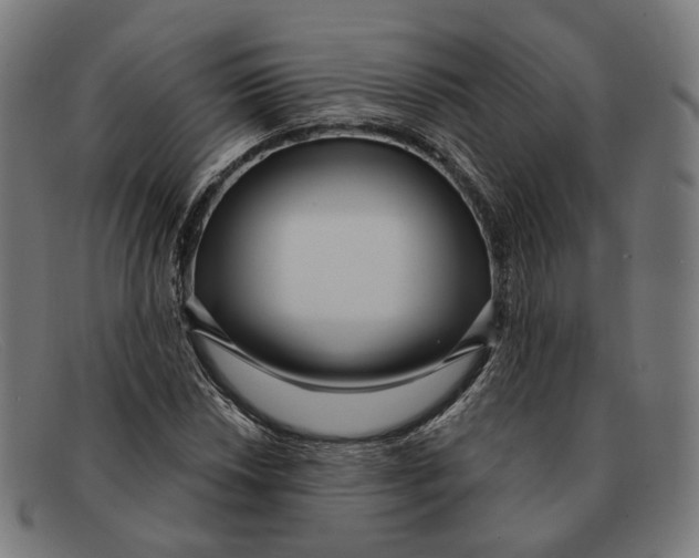 X0000091471018200709131748