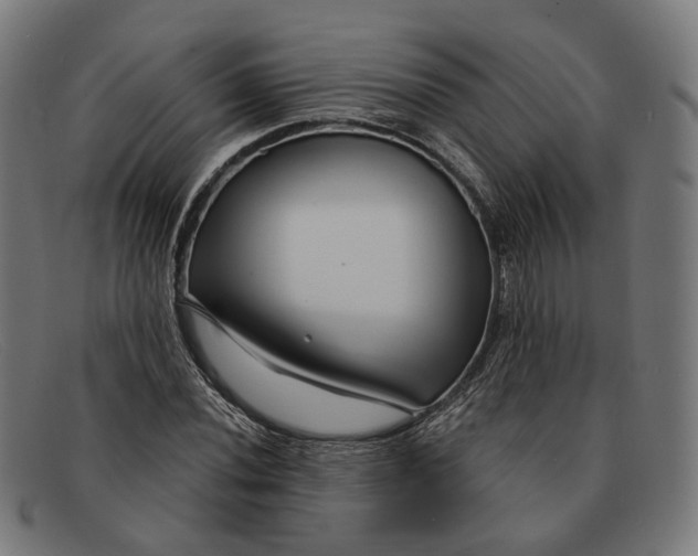 X0000091471020200709131748