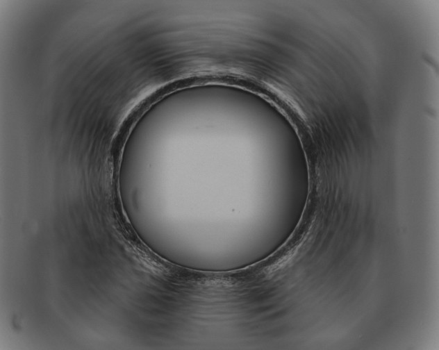 X0000091471021200709131748