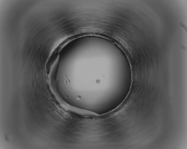 X0000091471022200709131748