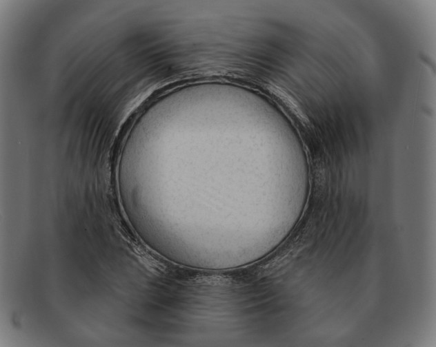 X0000091471023200709131748