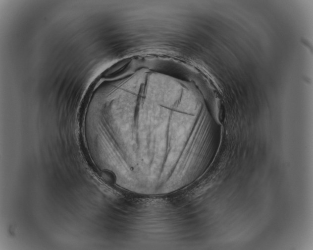 X0000091471024200709131748