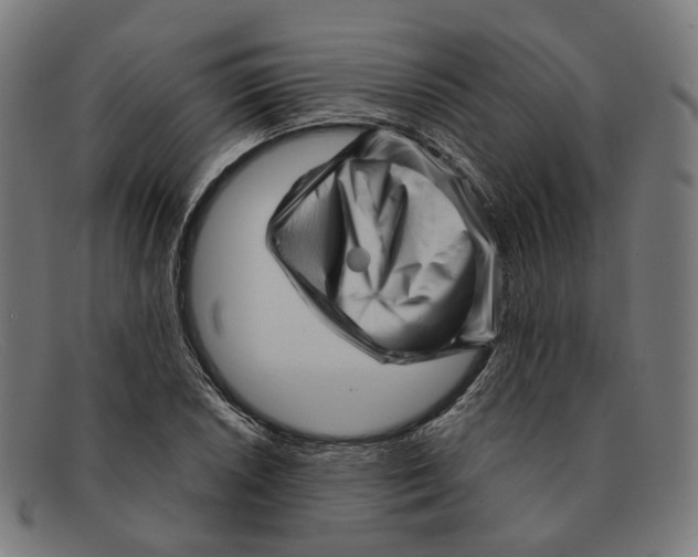 X0000091471026200709131748