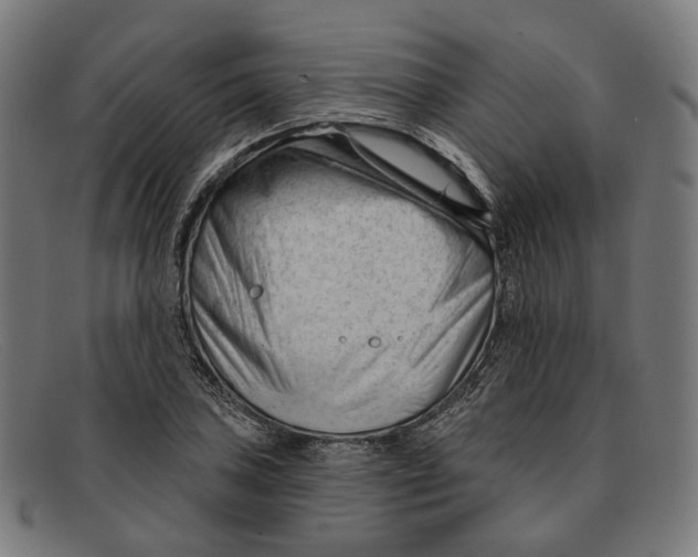 X0000091471027200709131748