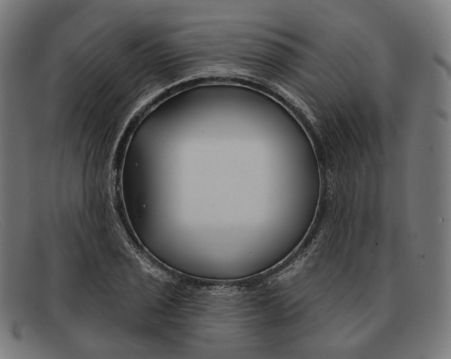 X0000091471029200709131748