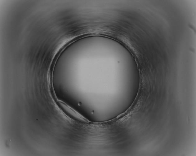 X0000091471032200709131748