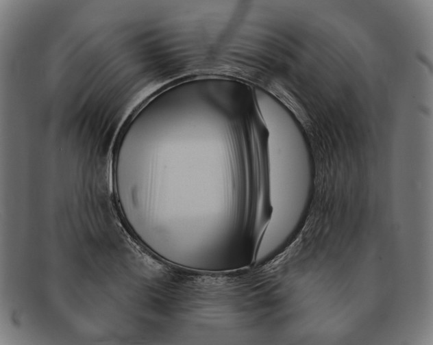 X0000091471036200709131748