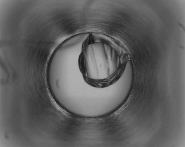 X0000091471038200709131748