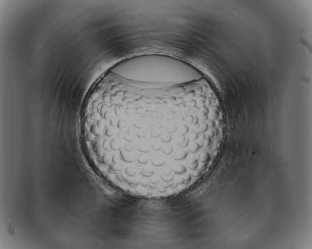 X0000091471040200709131748