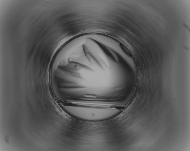 X0000091471044200709131749