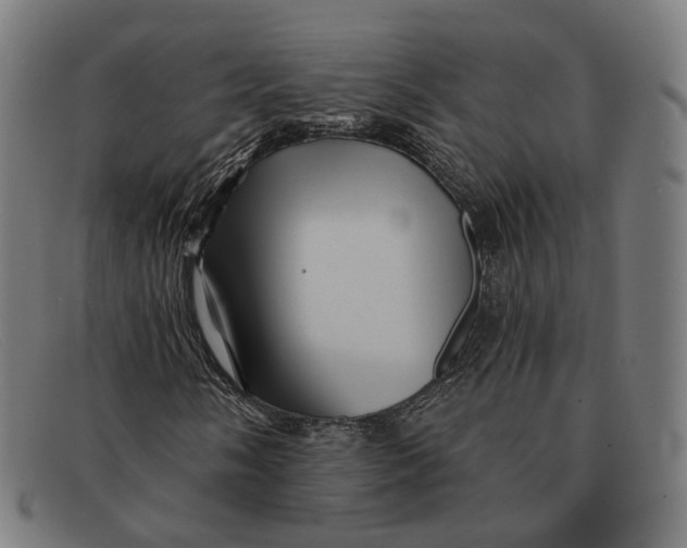 X0000091471058200709131748