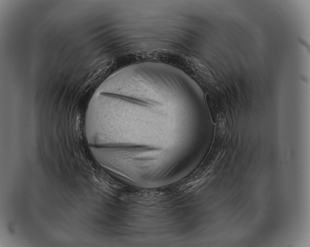 X0000091471060200709131748