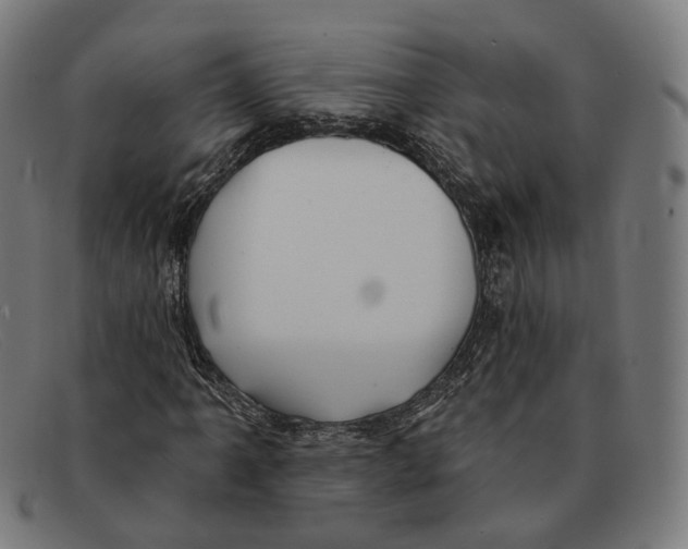 X0000091471061200709131748