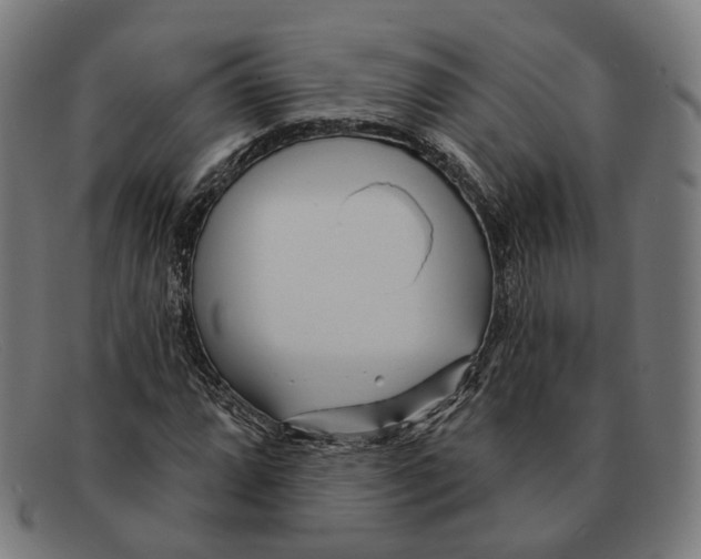 X0000091471064200709131748