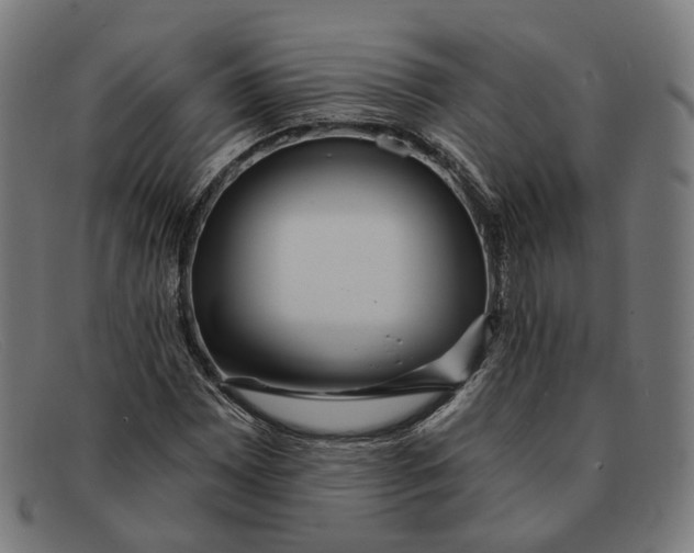 X0000091471065200709131748