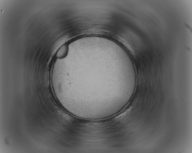 X0000091471075200709131748