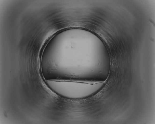 X0000091471080200709131748