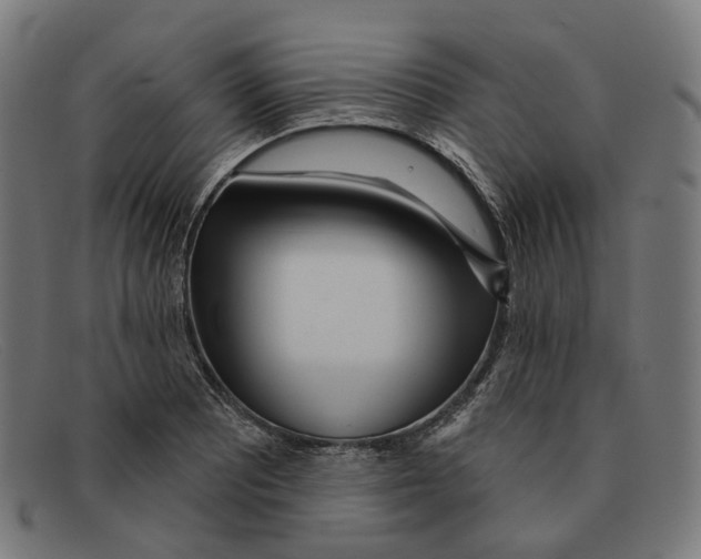 X0000091471081200709131748