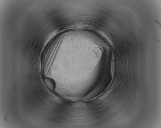 X0000091471083200709131748