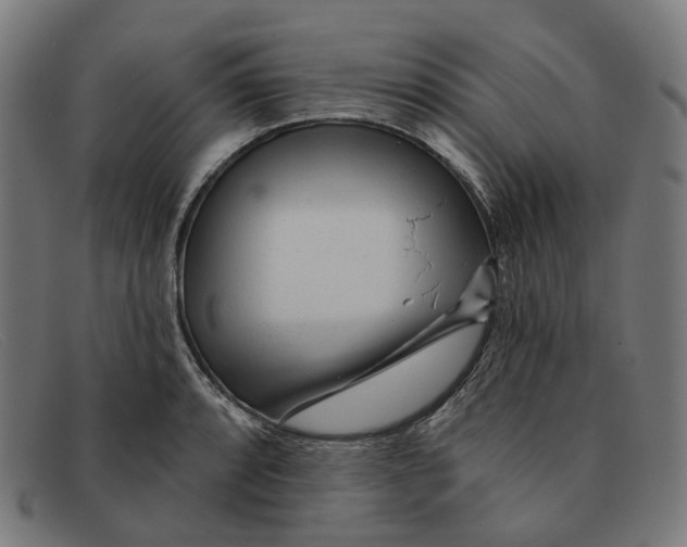 X0000091471088200709131748