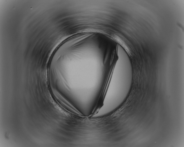 X0000091471092200709131748