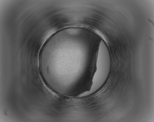 X0000091471095200709131748