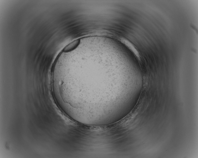 X0000091471099200709131748