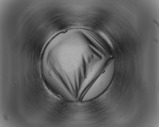 X0000091471100200709131748