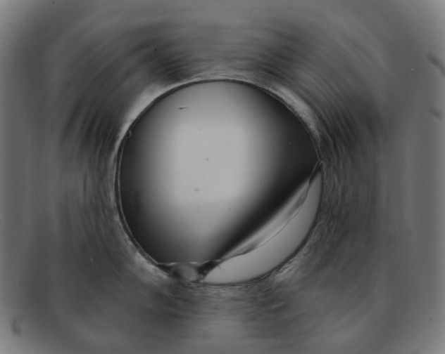 X0000091471102200709131748