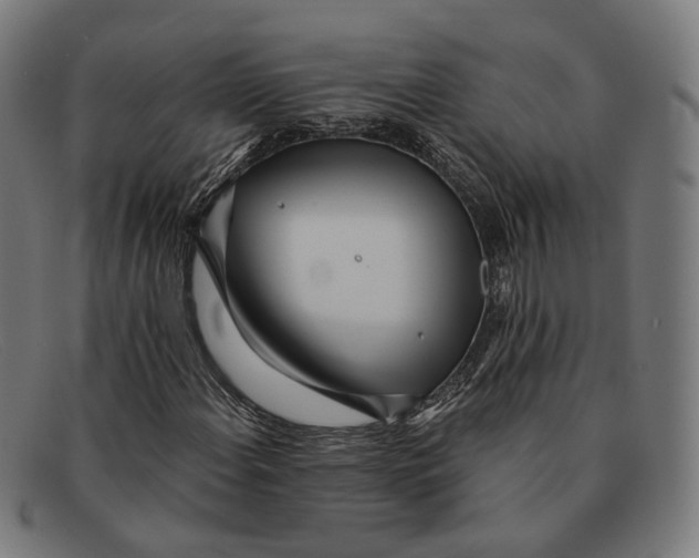 X0000091471108200709131747