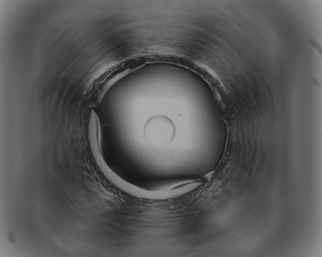 X0000091471112200709131747