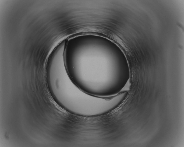 X0000091471116200709131747