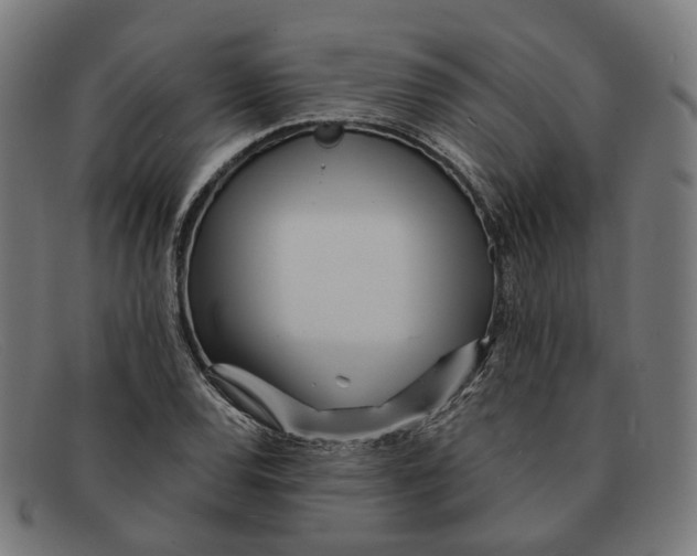 X0000091471120200709131747