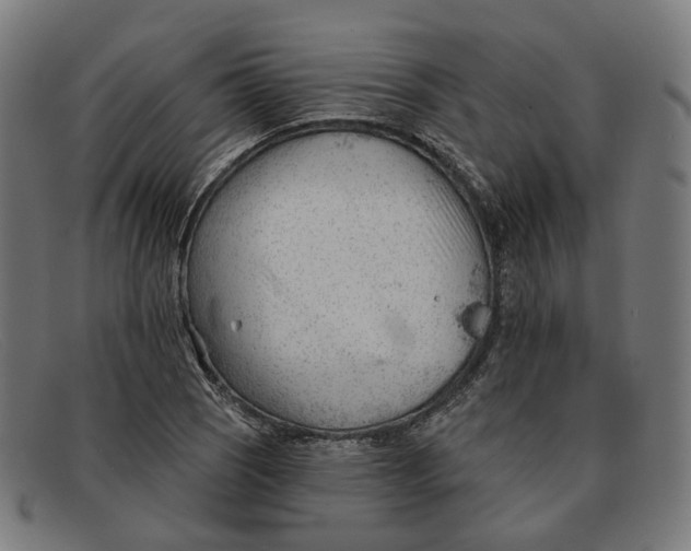 X0000091471121200709131747