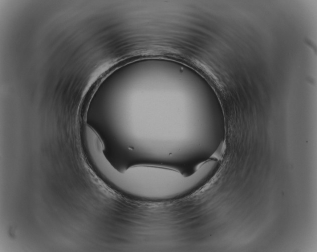 X0000091471122200709131747