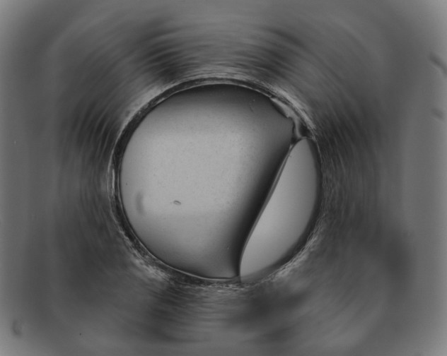 X0000091471125200709131747