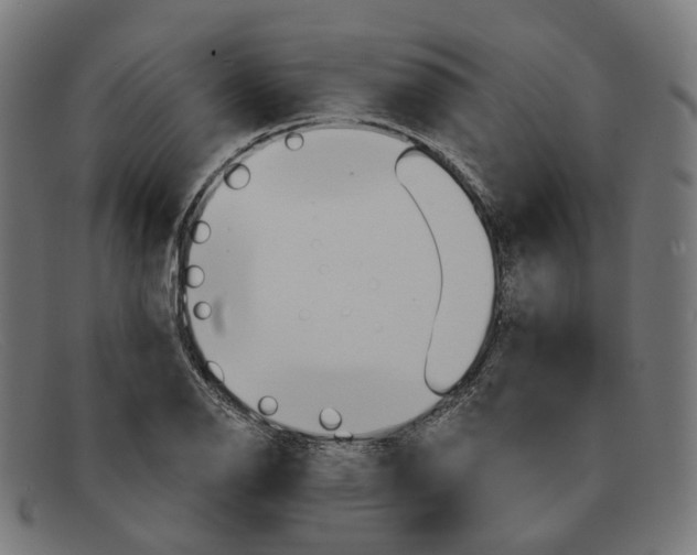 X0000091471126200709131747