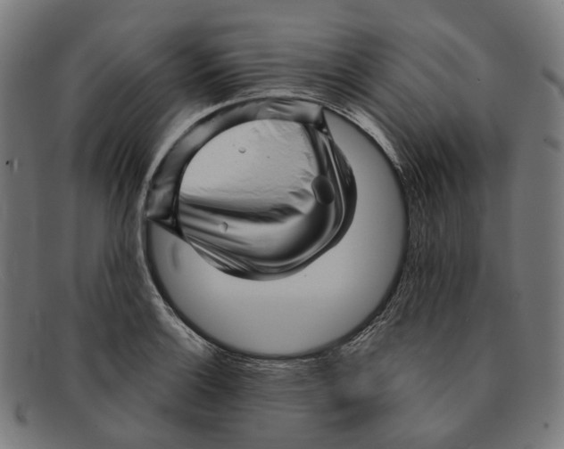 X0000091471132200709131747