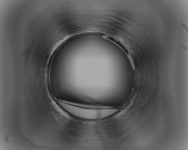 X0000091471134200709131747