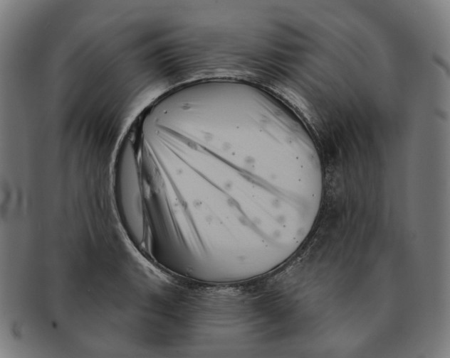 X0000091471135200709131747