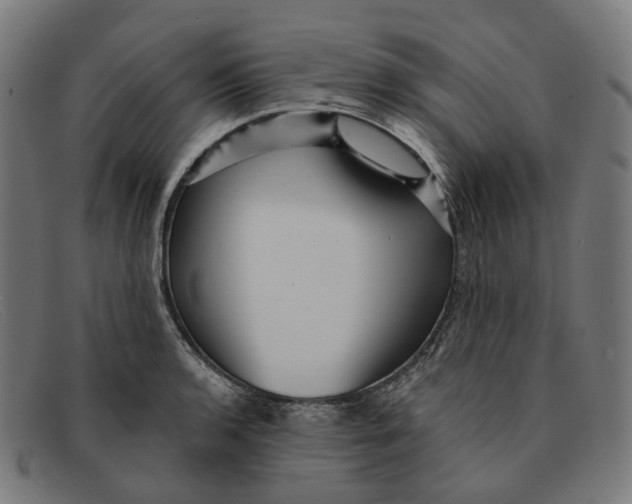 X0000091471136200709131747