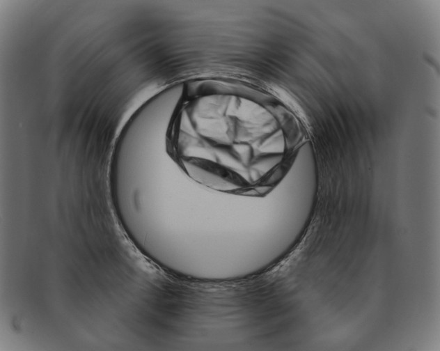 X0000091471138200709131747