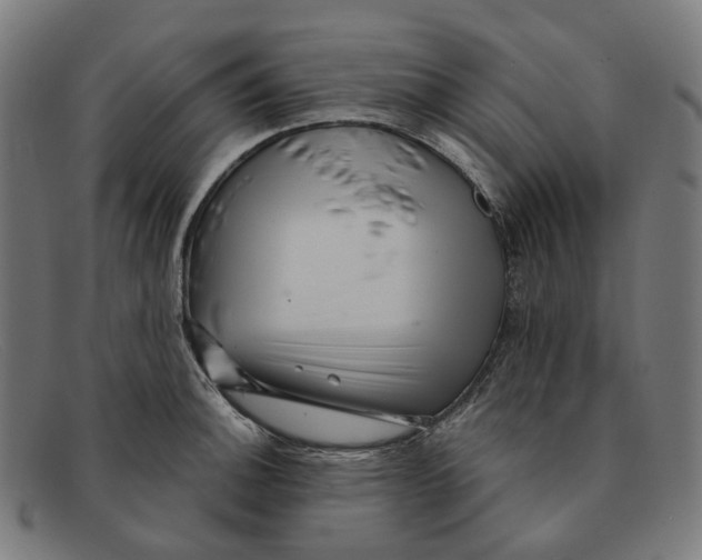 X0000091471140200709131747