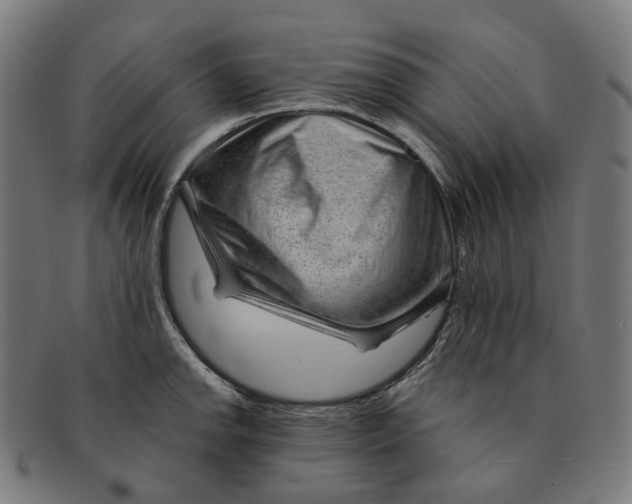 X0000091471142200709131747