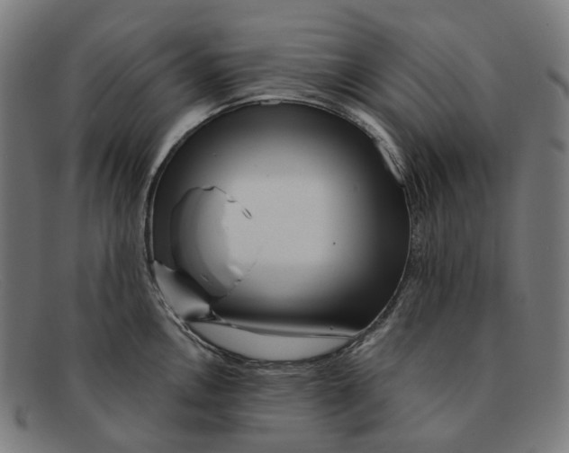 X0000091471146200709131747