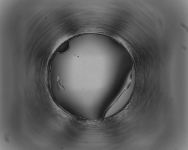 X0000091471147200709131747