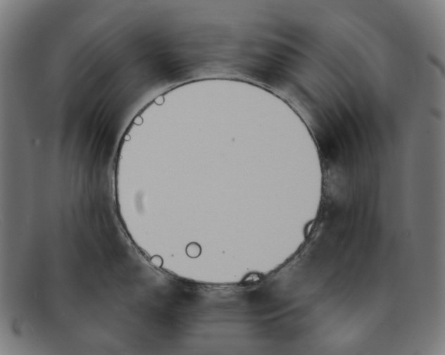 X0000091471150200709131748